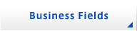 Business Fields